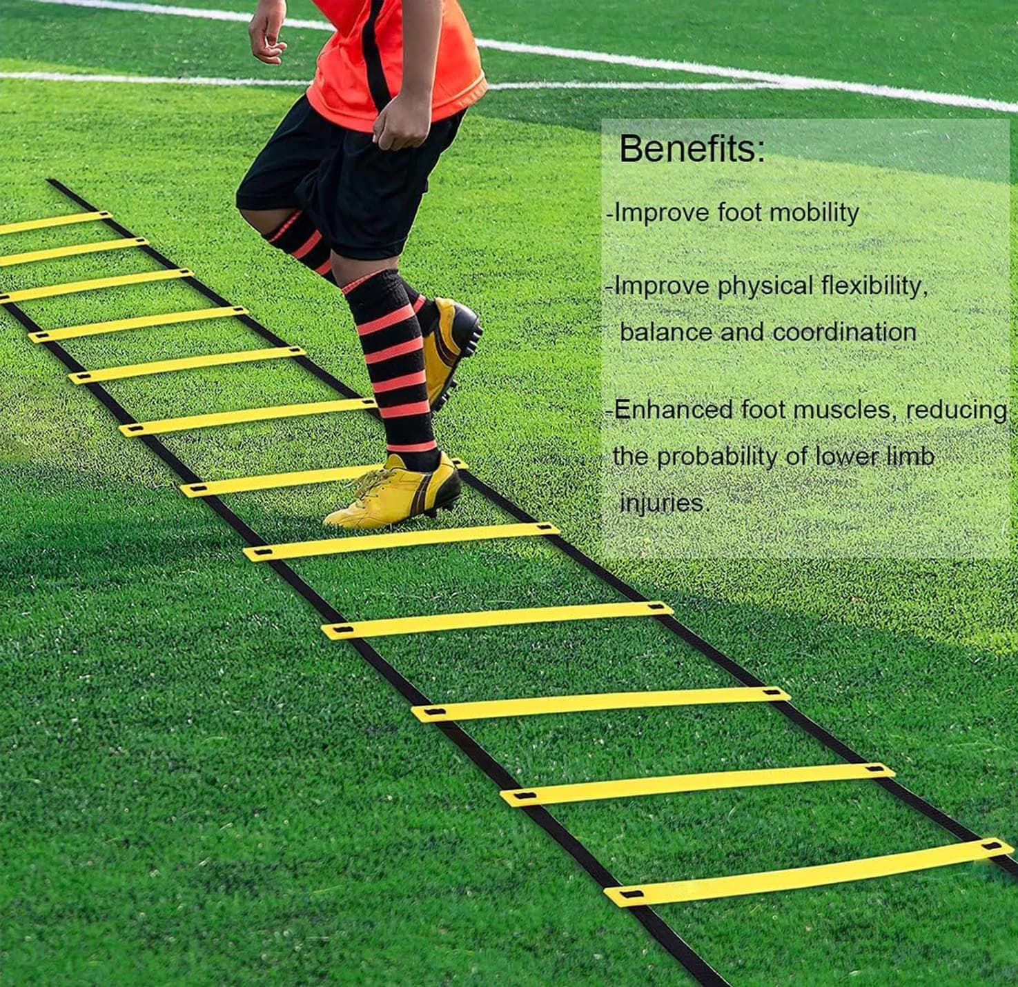 ອຸປະກອນການອອກກຳລັງກາຍ Footwork Cone Ladder Agility (Sp-A012) - ภาพที่ 2